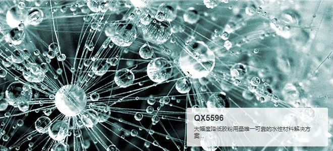 改性聚氧化乙烯 QX5596